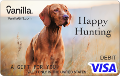 Congrats Blue Visa Gift Card