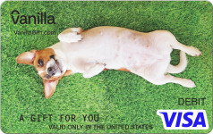 Happy Beagle Visa Gift Card