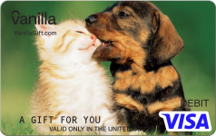 Kitty Puppy Visa Gift Card
