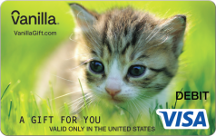 Shy Kitten Gift Card