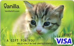 Featured Card 6 - Image of Shy Kitten Vanilla Visa Gift Card